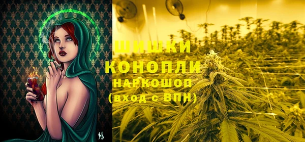 мдпв Пересвет