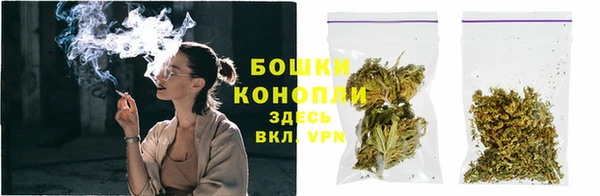 мдпв Пересвет
