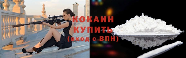 гашик Пестово