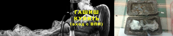 гашик Пестово