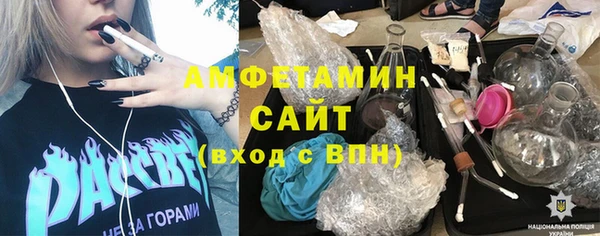 гашик Пестово