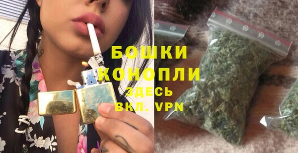 гашик Пестово