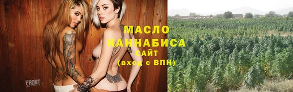 гашик Пестово
