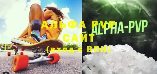 гашик Пестово