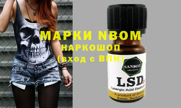 гашик Пестово