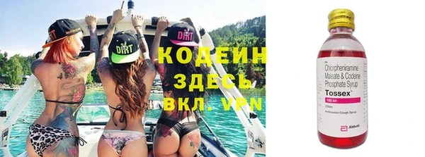 гашик Пестово