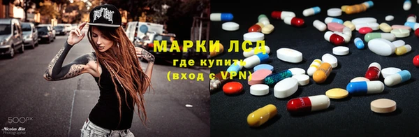 гашик Пестово