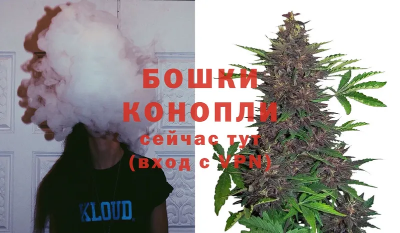 darknet Telegram  как найти закладки  Агрыз  Марихуана White Widow 