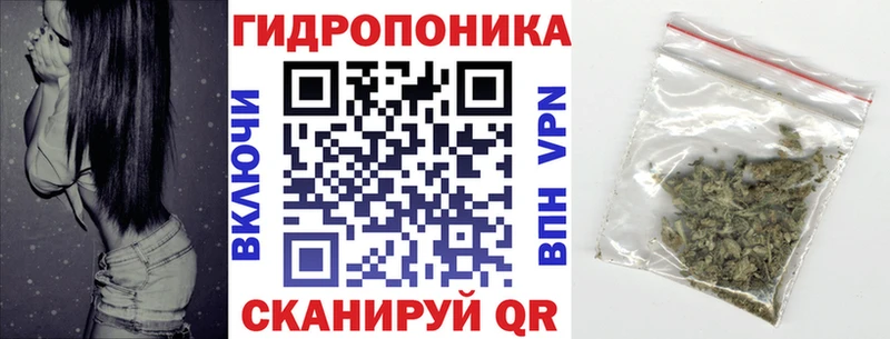 Бошки марихуана SATIVA & INDICA  где найти   Агрыз 